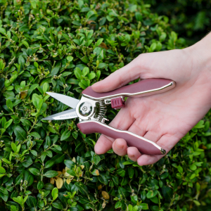 Kent & Stowe Garden Life Pruning Snips
